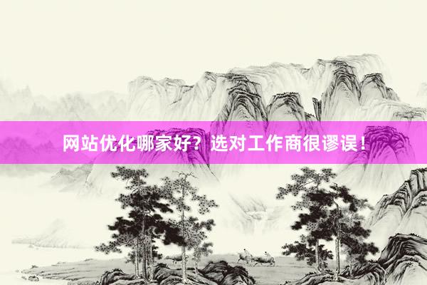 网站优化哪家好？选对工作商很谬误！