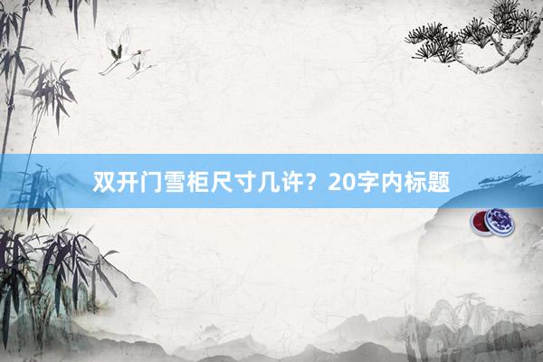 双开门雪柜尺寸几许？20字内标题