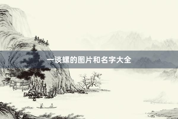 一谈螺的图片和名字大全